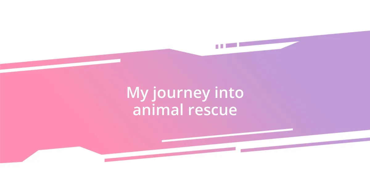 My journey into animal rescue